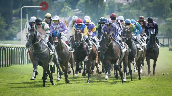 Hippodrome de Bellerive