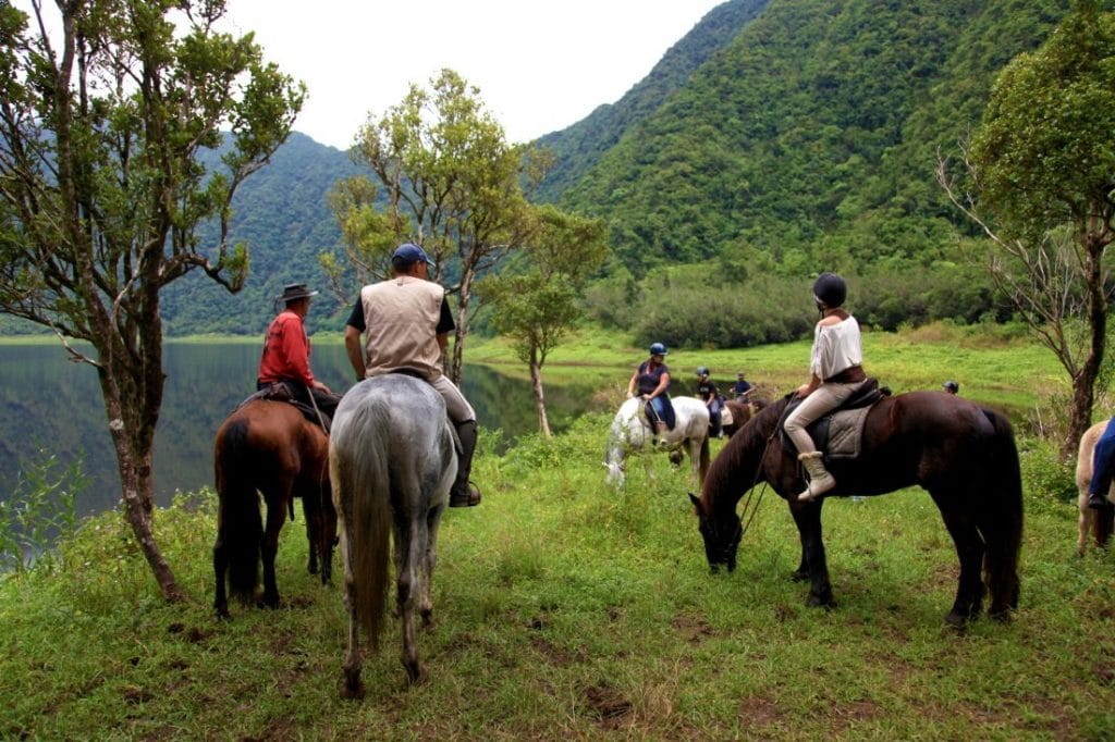 Horseback Rides