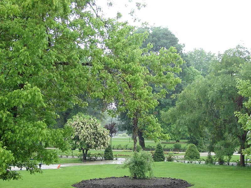 Jardin Public