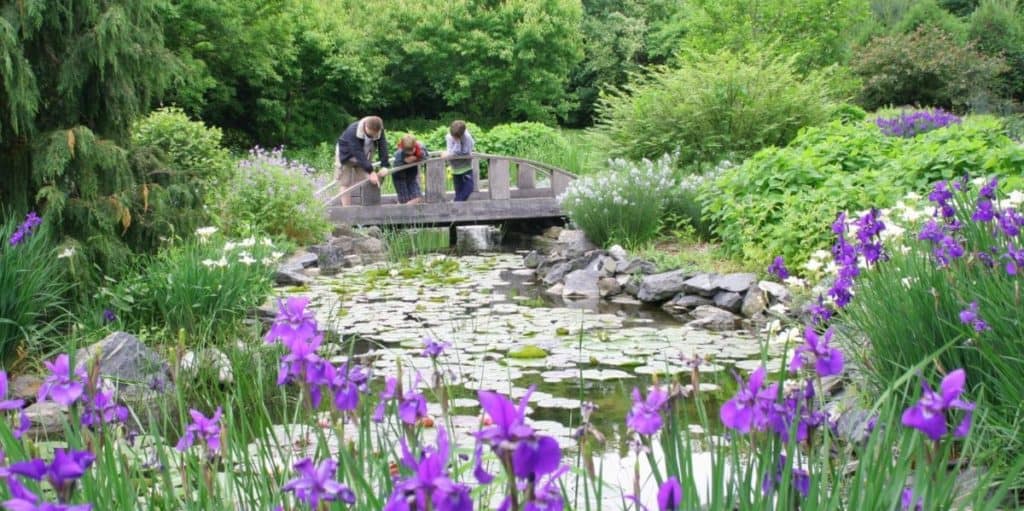 Klehm Arboretum and Botanic Garden