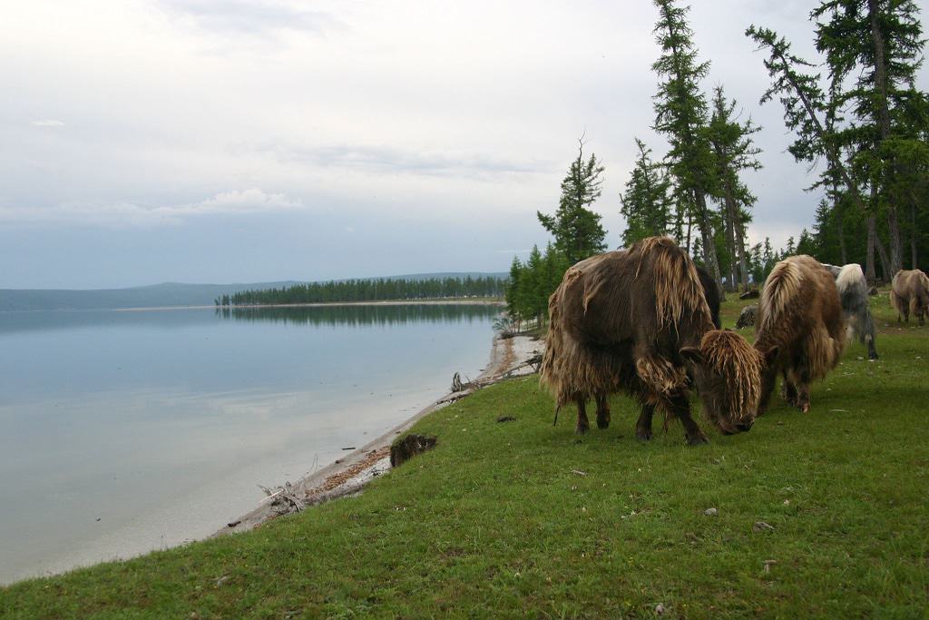 Lake Khovsgol