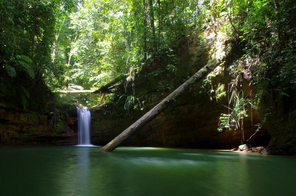 Lambir Hills National Park