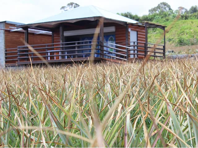 Maison de l'Ananas