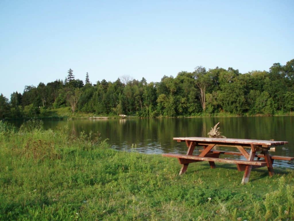 Milne Dam Conservation Park