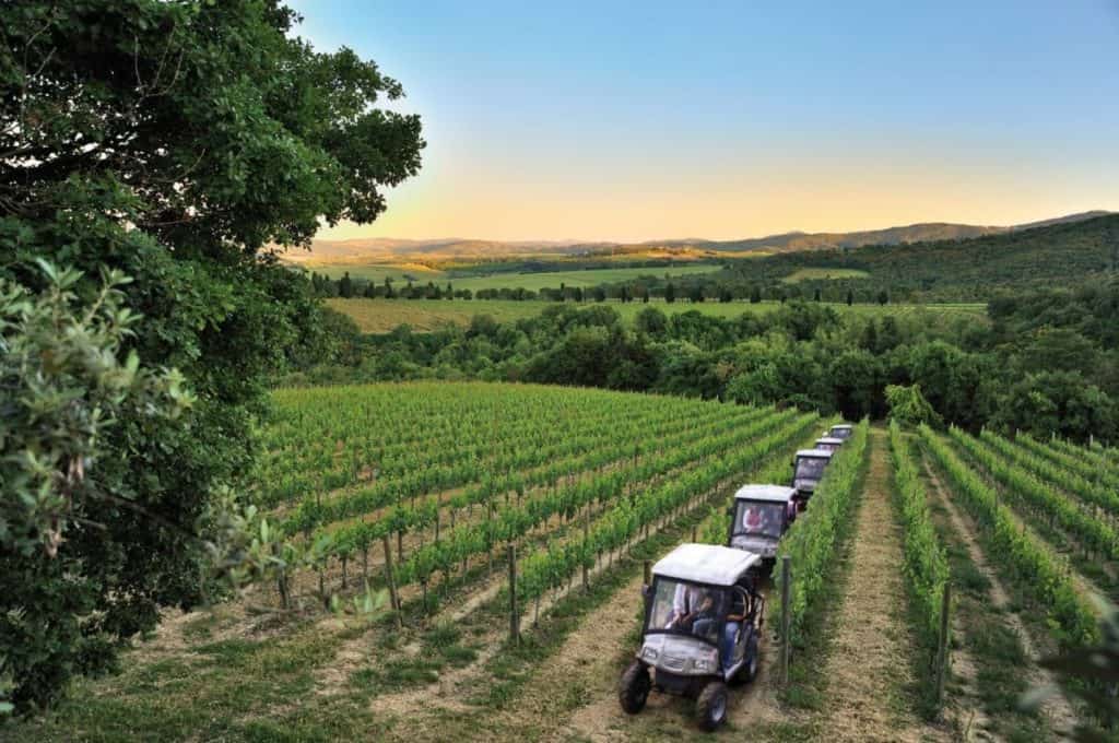 Monte Vibiano Wine Tour