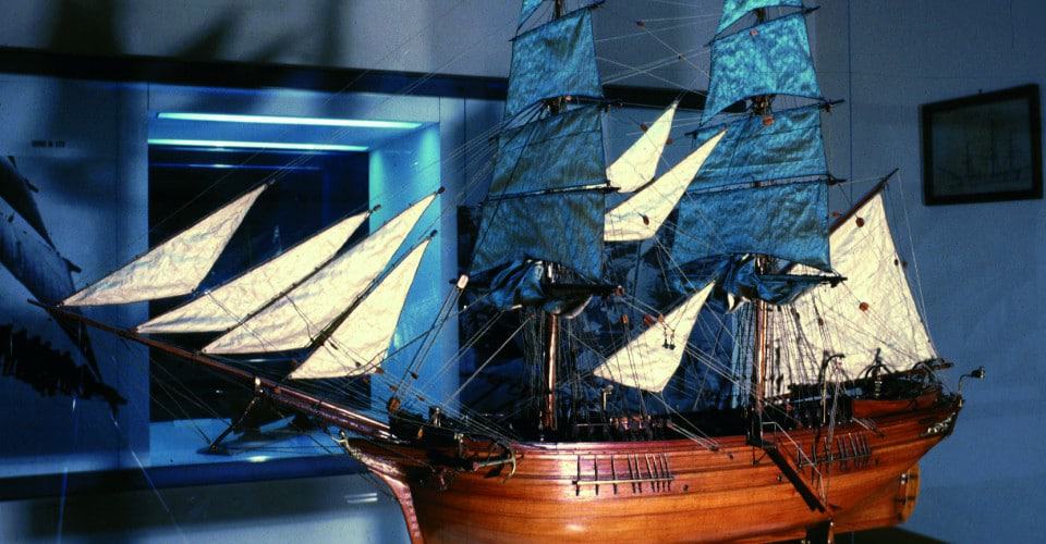 Museo Del Mare