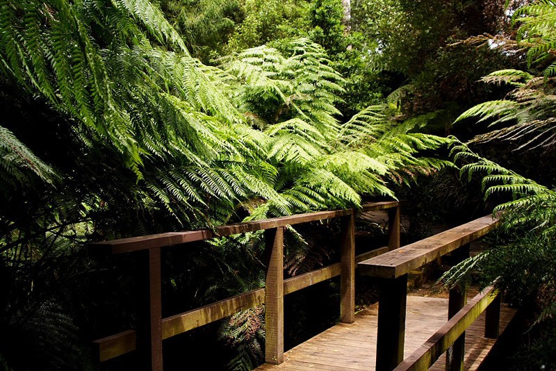 National Botanic Gardens