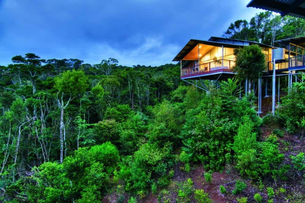 O’Reilly’s Rainforest Retreat
