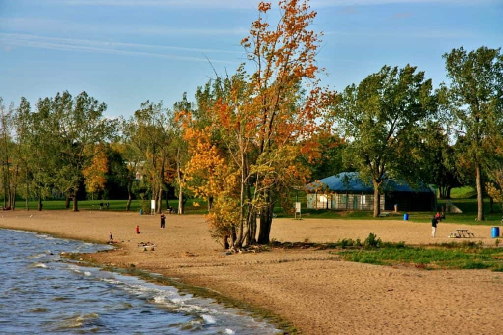 Parc des Cèdres