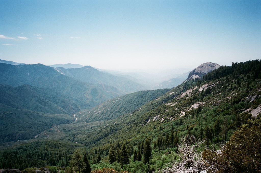 Sequoia National Park