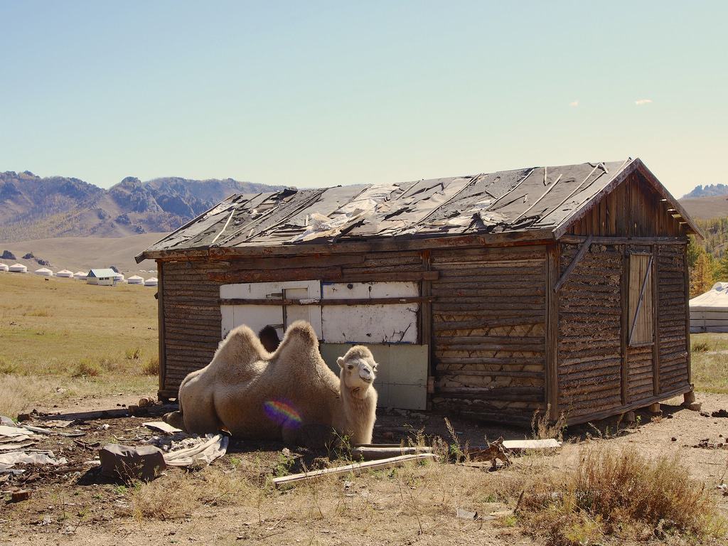 Terelj National Park