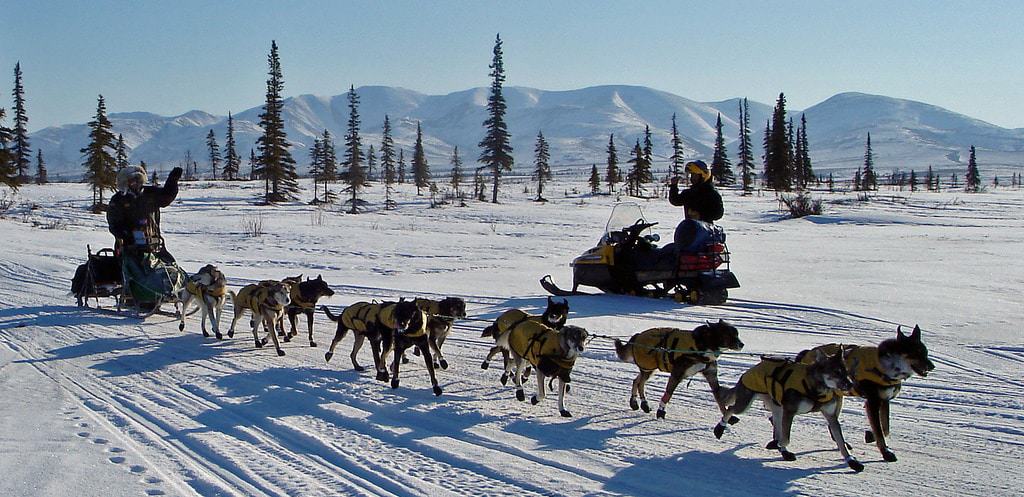 The Iditarod National Historic Trail