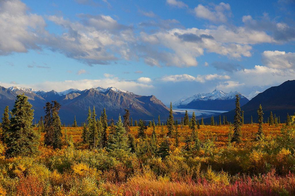 Wrangell-St. Elias National Park
