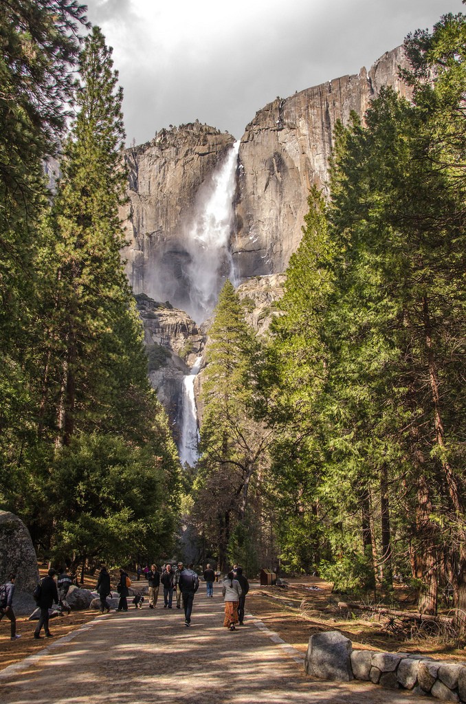 Yosemite National Park