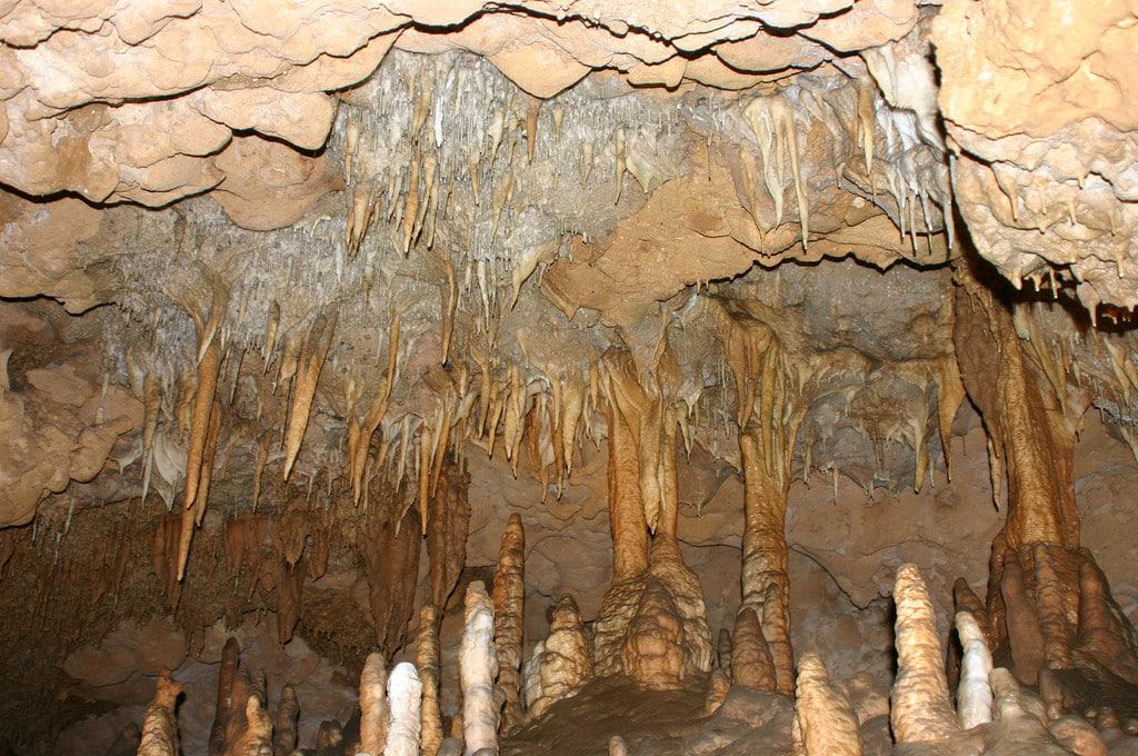 Florida Caverns State Park