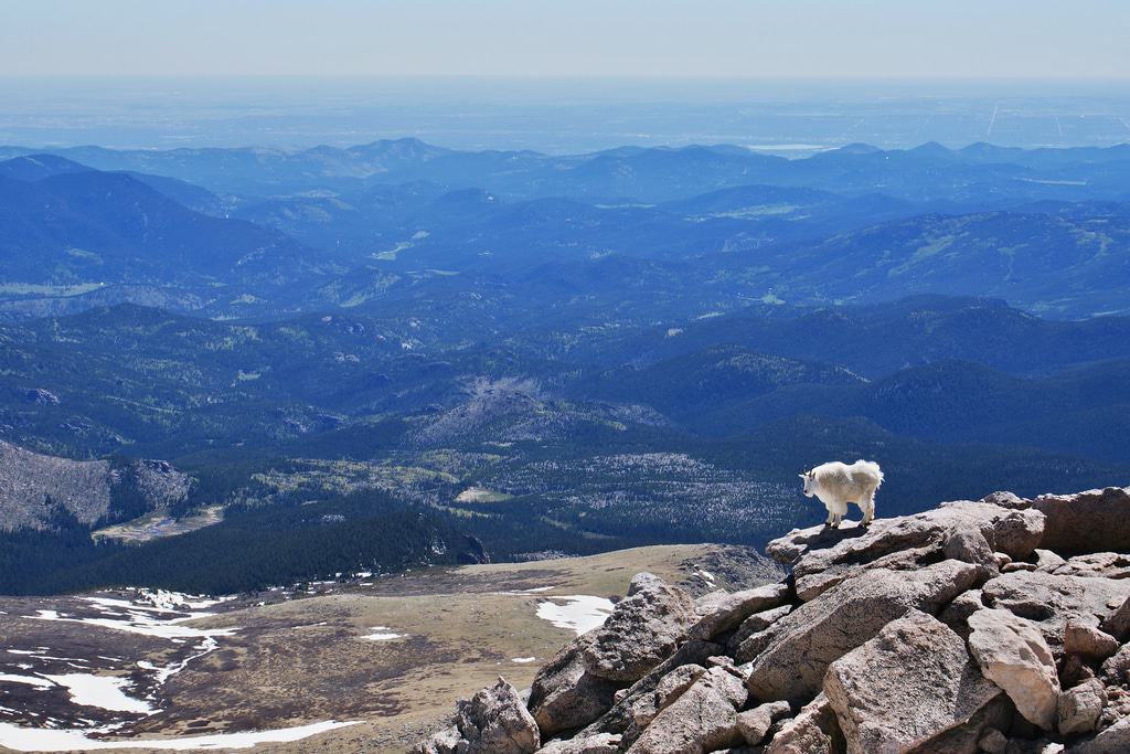Mount Evans Scenic Byway