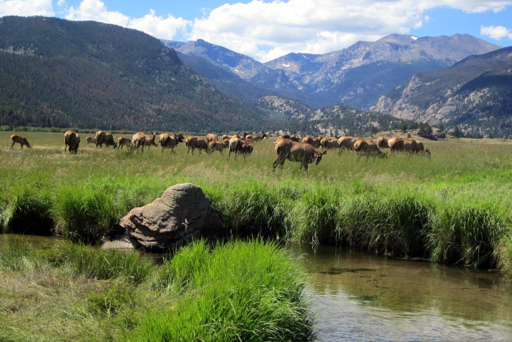 Rocky Mountain National Park