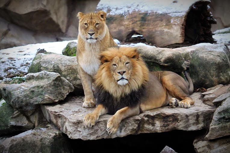 St. Louis Zoological Park