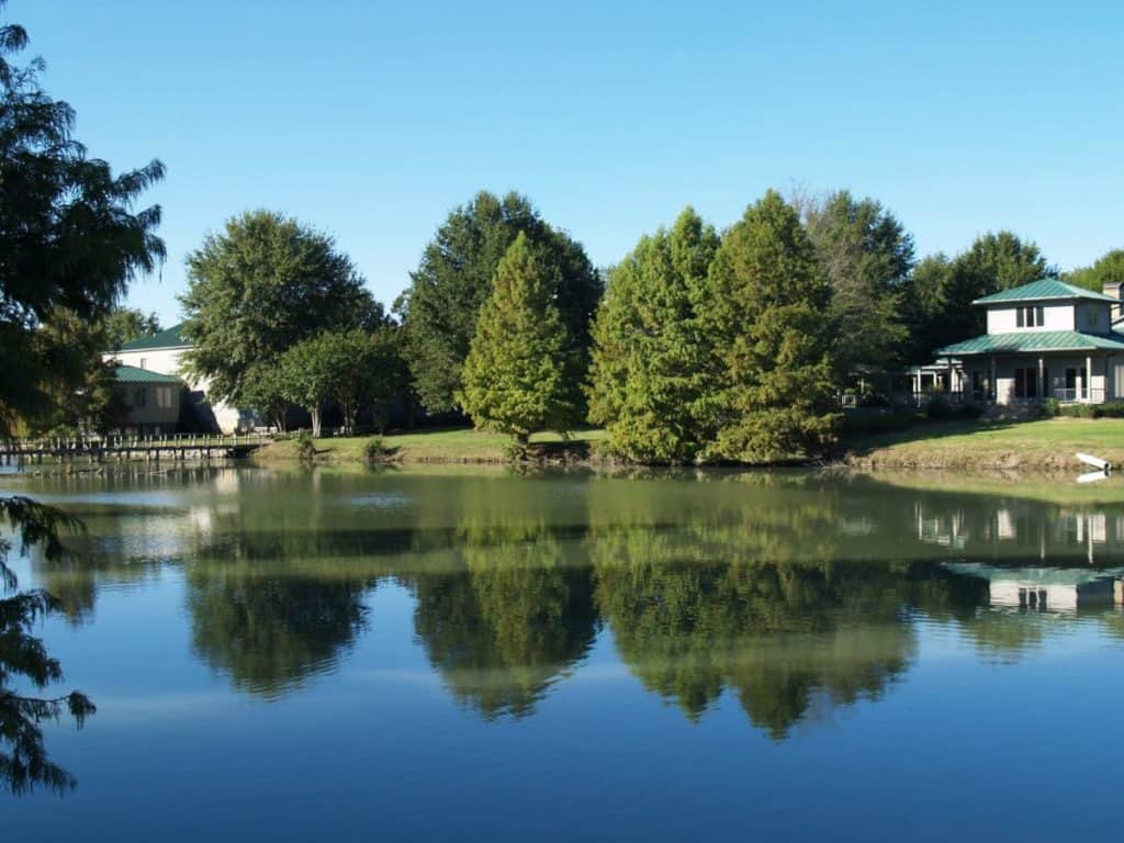 Tara Wildlife Cabins