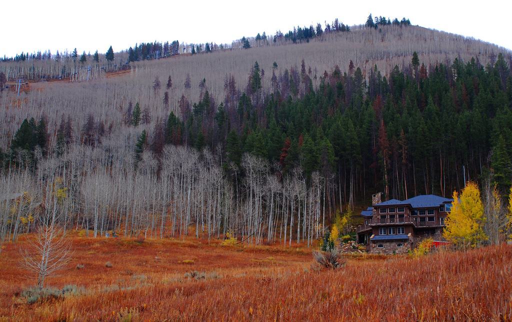 Vail