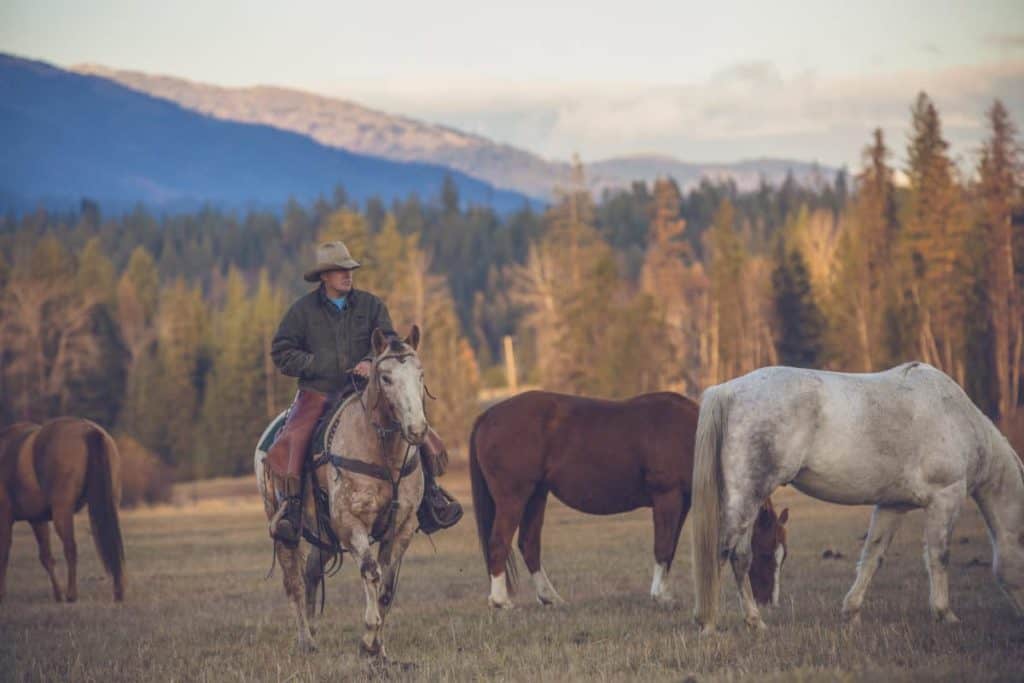 Western Pleasure Guest Ranch