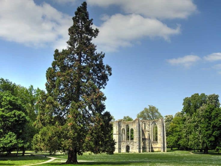 Abbaye Royale du Lys