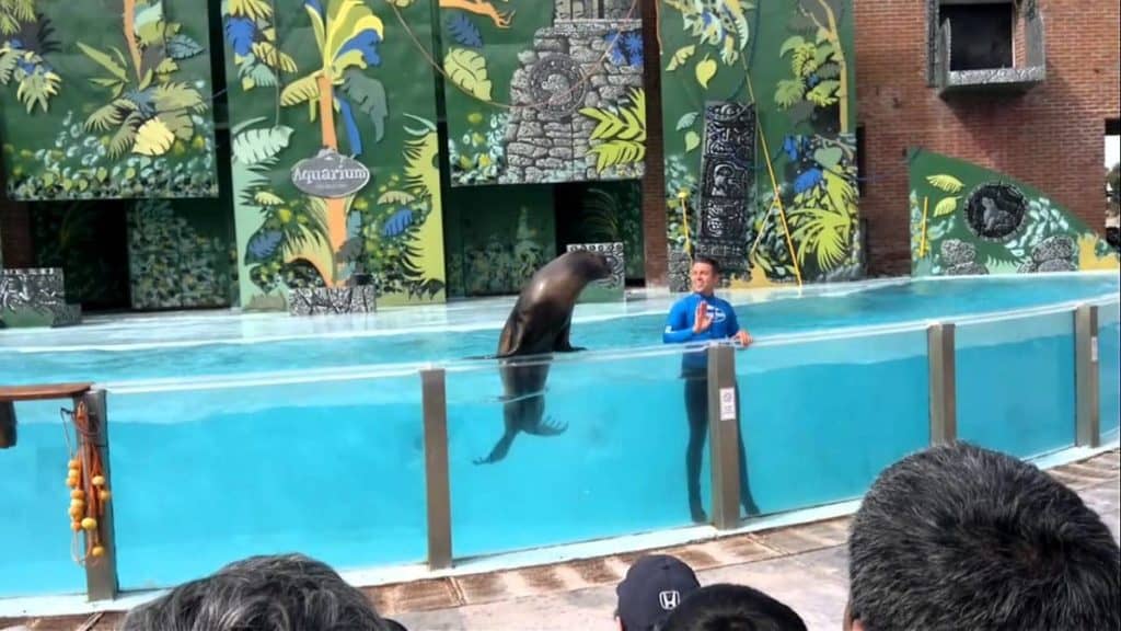 Aquarium Mar del Plata