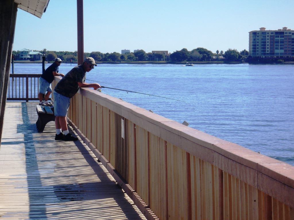 Cape Coral Fishing