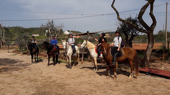 Country Riding Centre