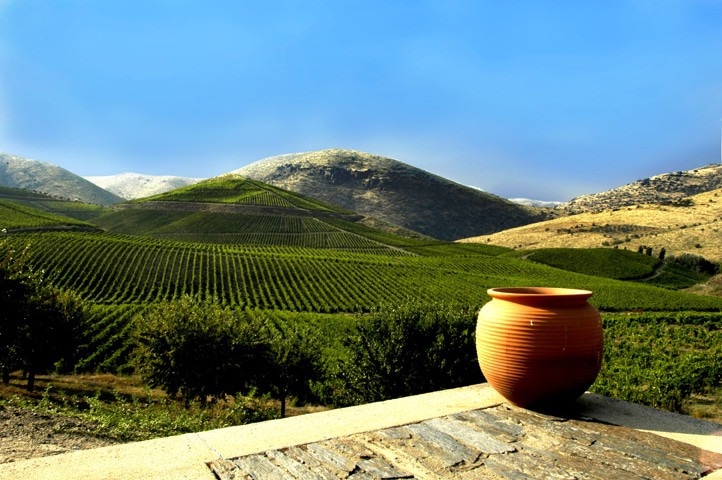 Dão Wine Region