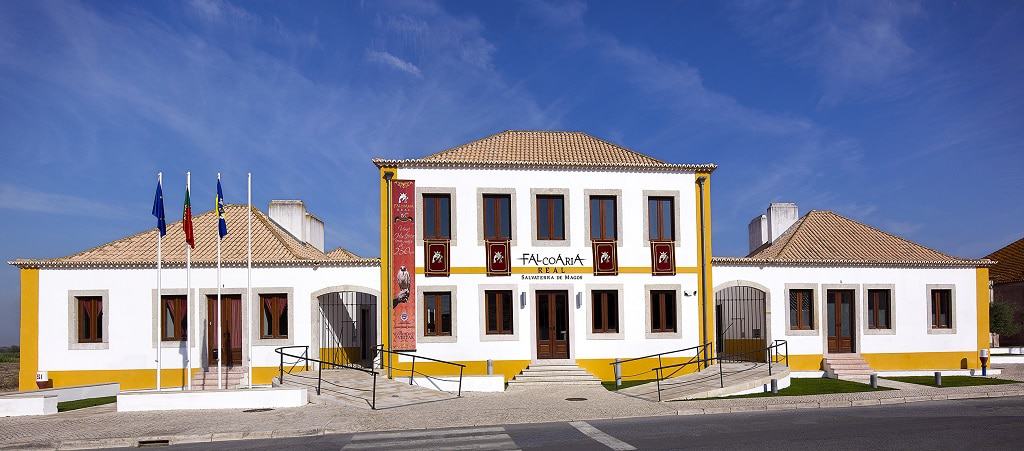 Falcoaria Real