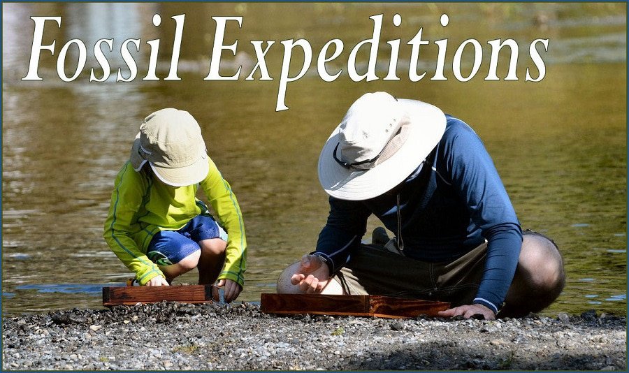 Fossil Expeditions