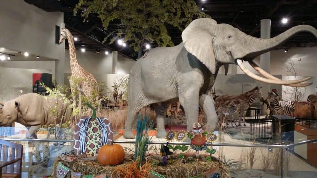 Great Plains Zoo & Delbridge Museum of Natural History