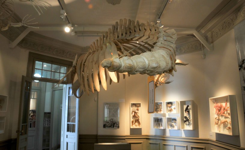Museo Provincial de Ciencias Naturales y Oceanográfico
