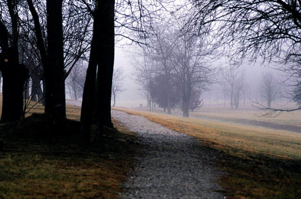 Parco del Cormor, Udine