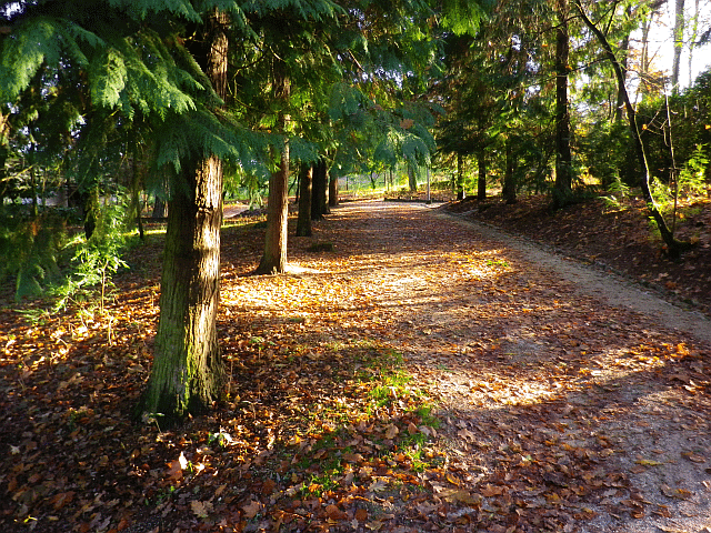 Parque Florestal de Amarante