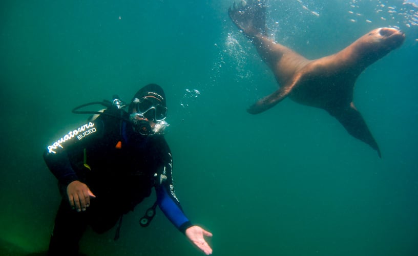 Scuba Diving