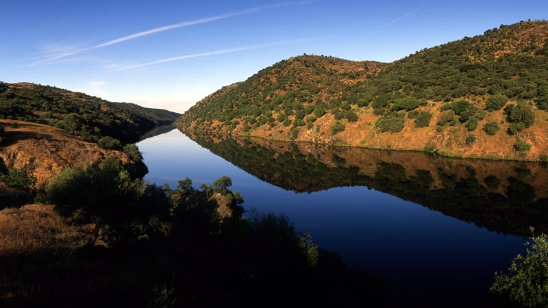 Tejo International Natural Park