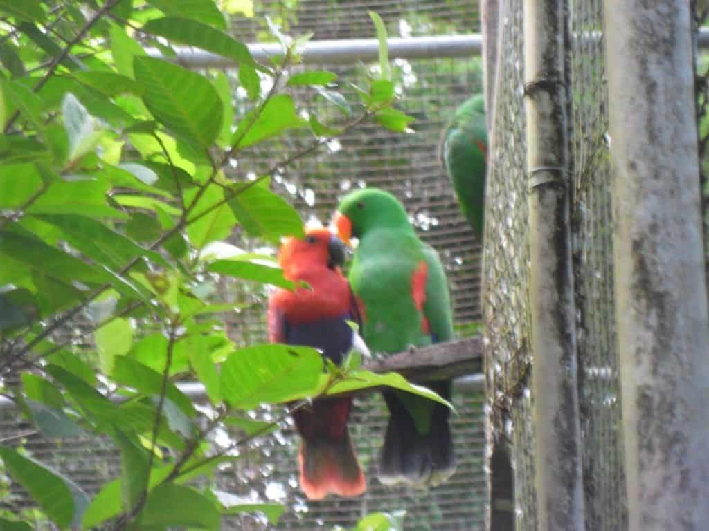 The Bird and Orchid Garden