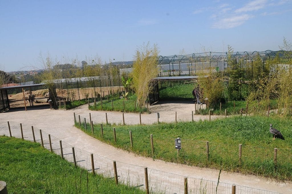 Zoo da Maia