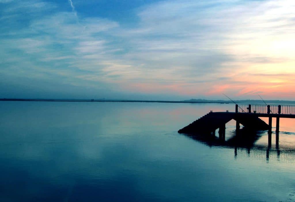 Aveiro Lagoon
