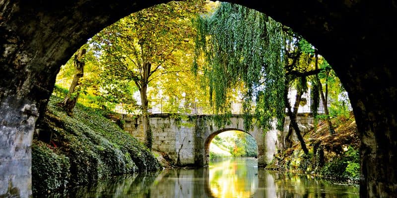 Canal Cruise