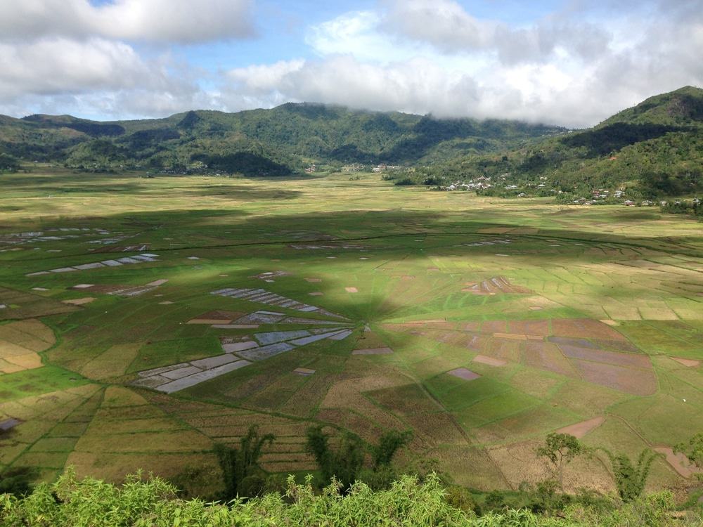 Cancar, Spider Web Rice Fields