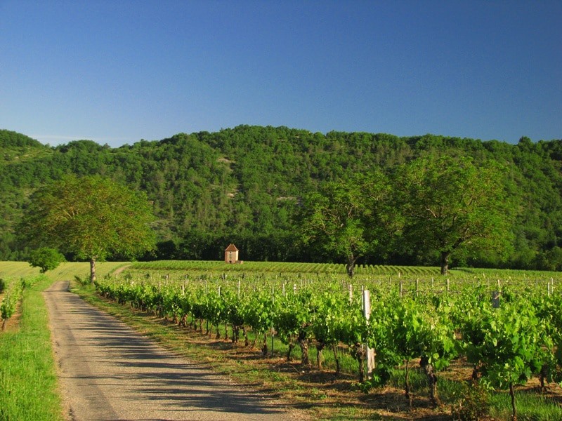 Coteaux et Terrasses de Montauban