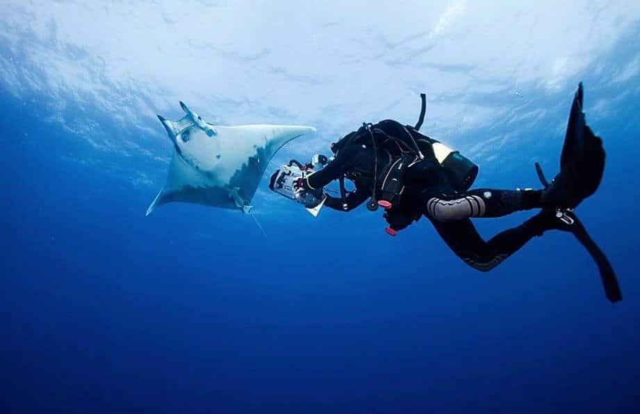 Diving