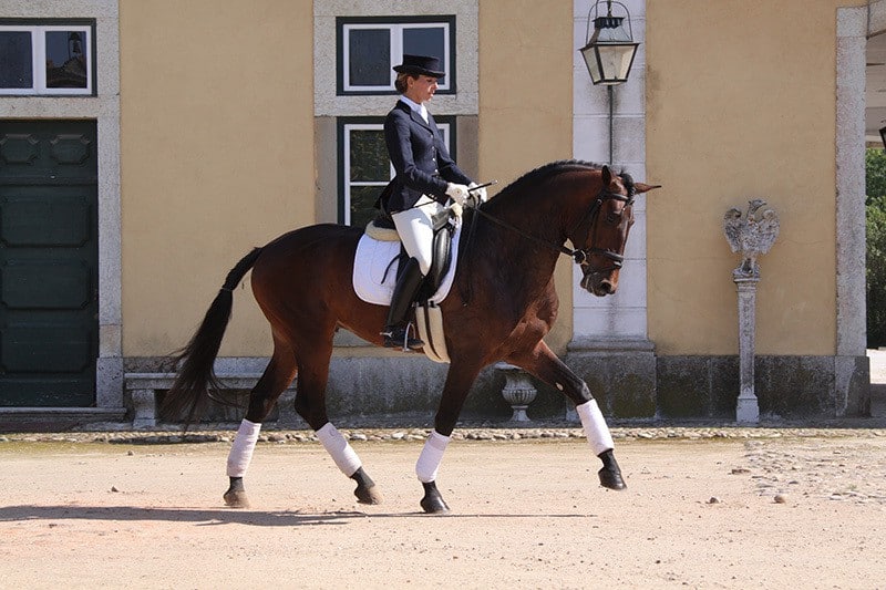 Equestrianism