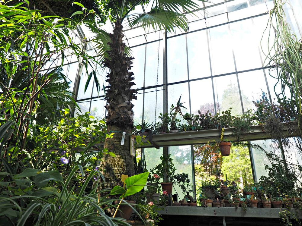 Ferrara Botanical Gardens