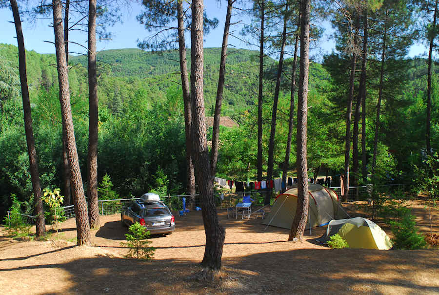 Forêt De Saint-Jean