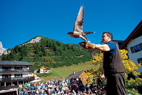 Galina Falconry Centre