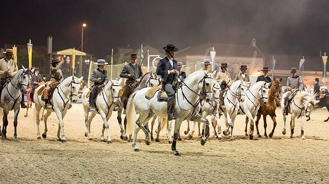 Golegã National Horse Fair